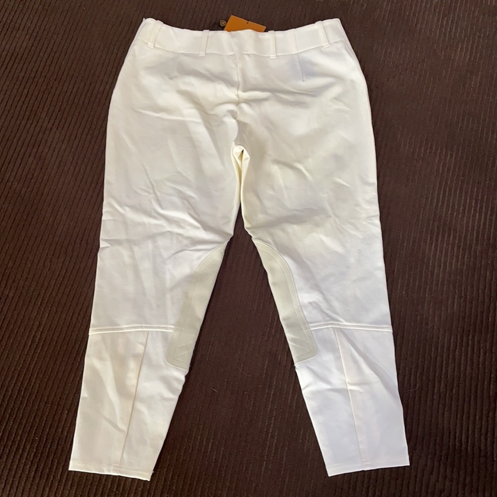 NWT Ariat Pro Circut Low Rise Ladies Breeches - Picture 2 of 6